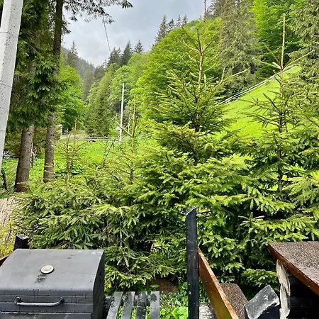 U Tsimborky Synevyrs'ka Polyana