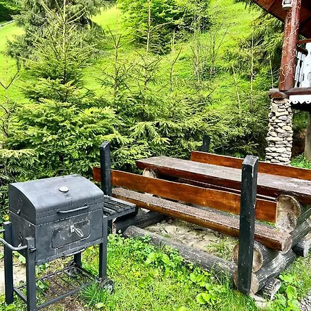 U Tsimborky Synevyrs'ka Polyana