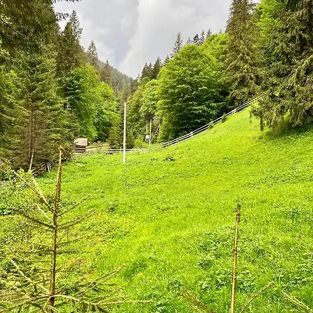 U Tsimborky Synevyrs'ka Polyana